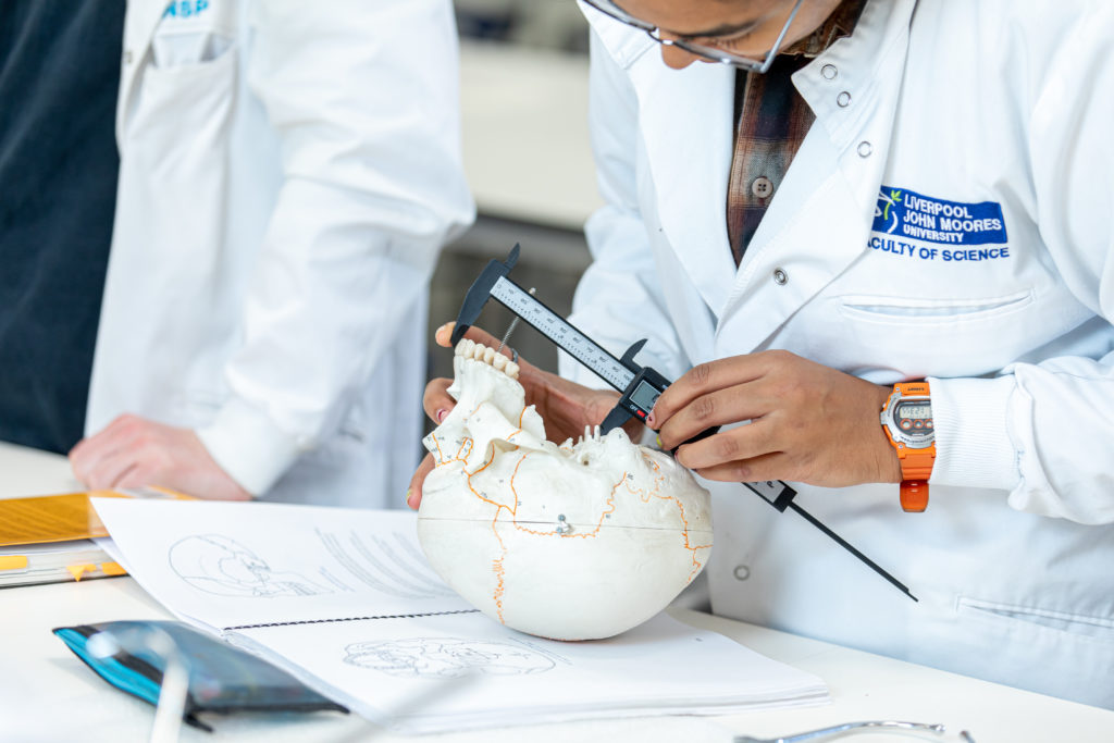 Student shown working on a skull in a laboratory 